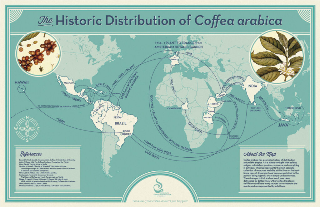 Exploring the World's Best Coffee Types